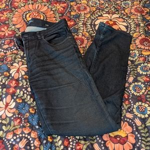 Banana Republic Traveler Pant